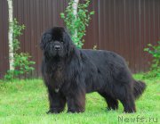 Превью фото № 156137