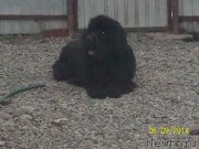 Превью фото № 156146