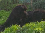 Превью фото № 156160