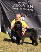 Превью фото № 156162