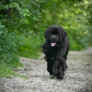 Превью фото № 156172