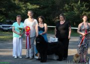 Превью фото № 156205