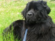 Превью фото № 156243