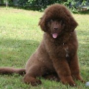 Превью фото № 156323