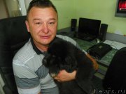 Превью фото № 156337