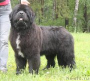 Превью фото № 156381