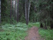 Превью фото № 156408