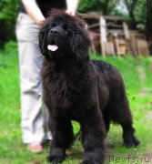 Превью фото № 156412