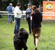 Превью фото № 156457