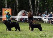 Превью фото № 156458