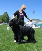 Превью фото № 156493