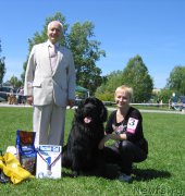 Превью фото № 156494