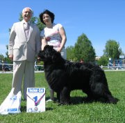 Превью фото № 156499