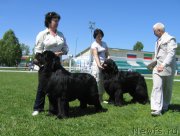 Превью фото № 156500