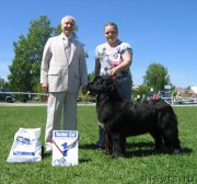 Превью фото № 156516