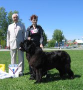 Превью фото № 156521