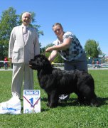 Превью фото № 156522