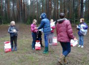 Превью фото № 156531