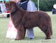 Превью фото № 156553