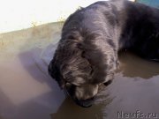 Превью фото № 156583