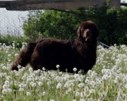 Превью фото № 156589