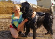 Превью фото № 156608