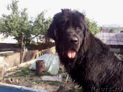 Превью фото № 156618