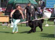 Превью фото № 156630