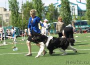 Превью фото № 156633