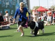 Превью фото № 156634