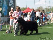 Превью фото № 156649