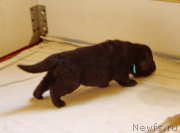 Превью фото № 156725