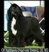 Превью фото № 156775