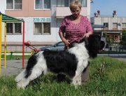 Превью фото № 156781