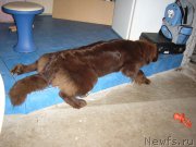 Превью фото № 156817