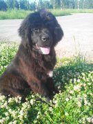 Превью фото № 156856