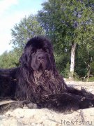 Превью фото № 156896