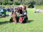 Превью фото № 157009