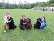 Превью фото № 157012