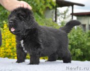 Превью фото № 157053