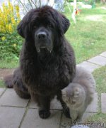 Превью фото № 157091