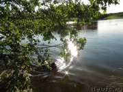 Превью фото № 157137