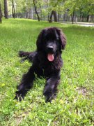 Превью фото № 157188