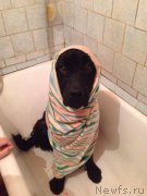 Превью фото № 157201