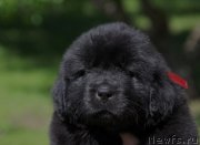 Превью фото № 157215