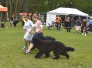 Превью фото № 157300