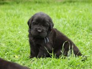 Превью фото № 157360