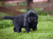 Превью фото № 157376