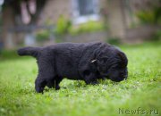 Превью фото № 157379