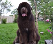 Превью фото № 157433